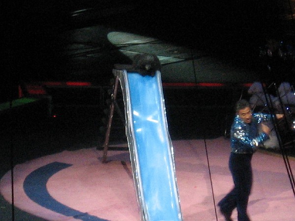 june08 019.jpg